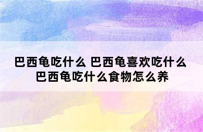 巴西龟吃什么 巴西龟喜欢吃什么 巴西龟吃什么食物怎么养